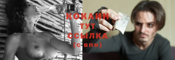 СК Дмитров