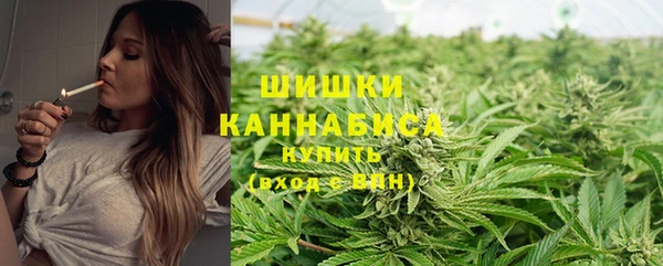 СК Дмитров