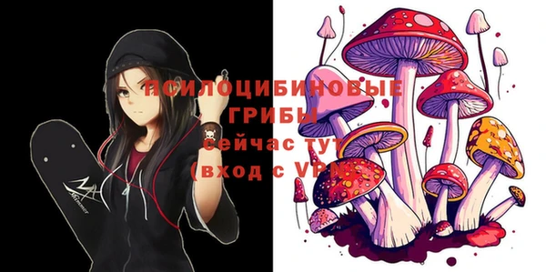 СК Дмитров