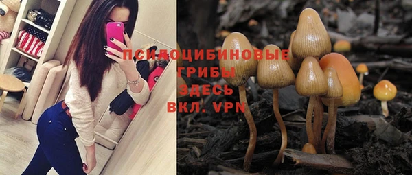 амфетамин Ельня