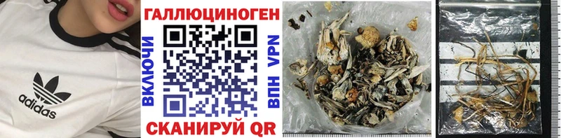 Купить  Кораблино  Псилоцибиновые грибы GOLDEN TEACHER 